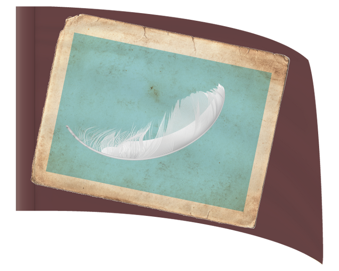 Vintage Feather - STANDARD FLAG