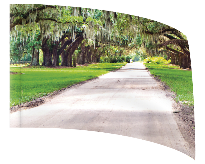 Southern Oak Avenue - STANDARD FLAG