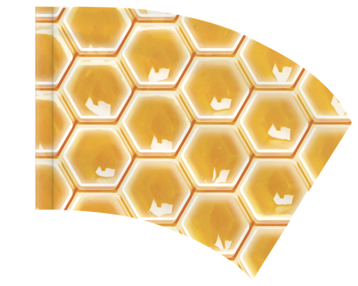 Golden Honeycomb - RAINBOW FLAG