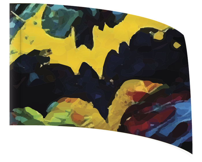 Abstract Batwing Splash - OVERSIZED STANDARD FLAG