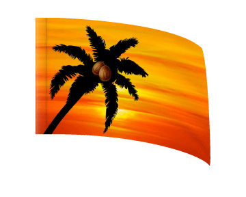 Tropical Sunset - Standard Flag