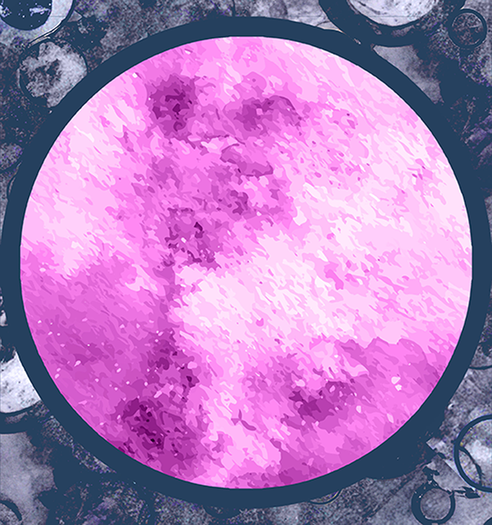 BACKDROP PROP GRAPHICS - BONE COLLECTOR