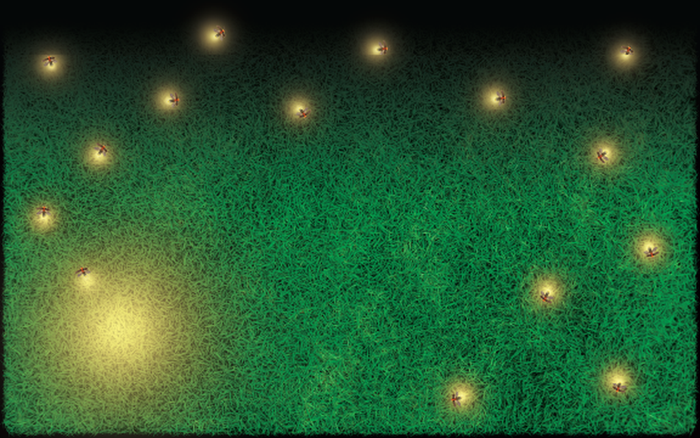 Glow - PERFORMANCE FLOOR