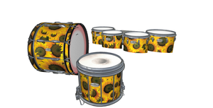 GROW AS WE GO - INDOOR PERCUSSION SHOW