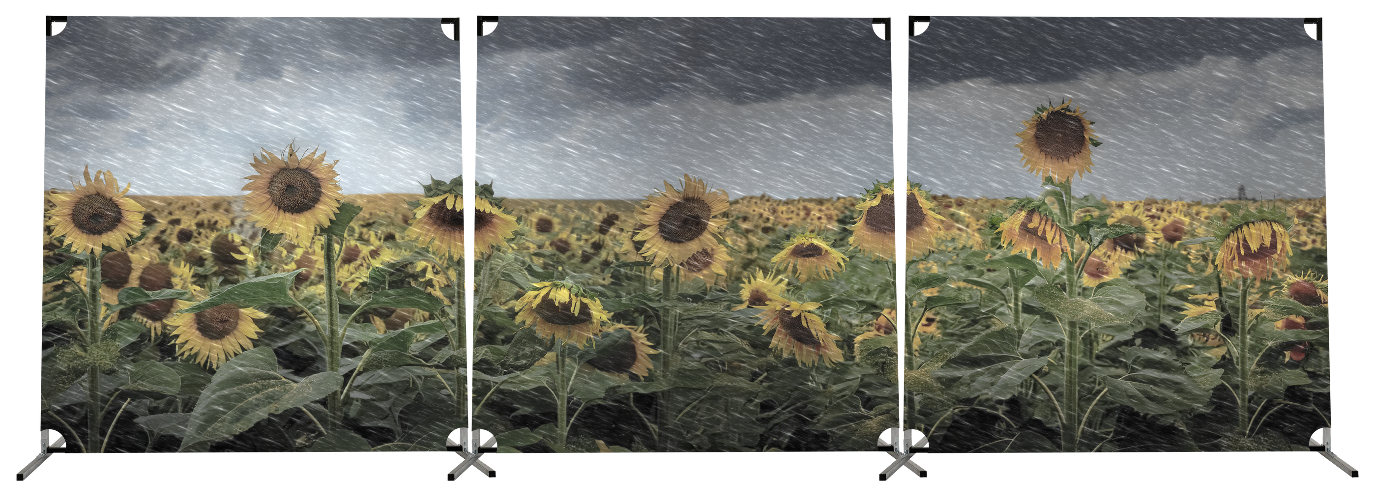 BACKDROP PROP GRAPHIC - GROW AS WE GO