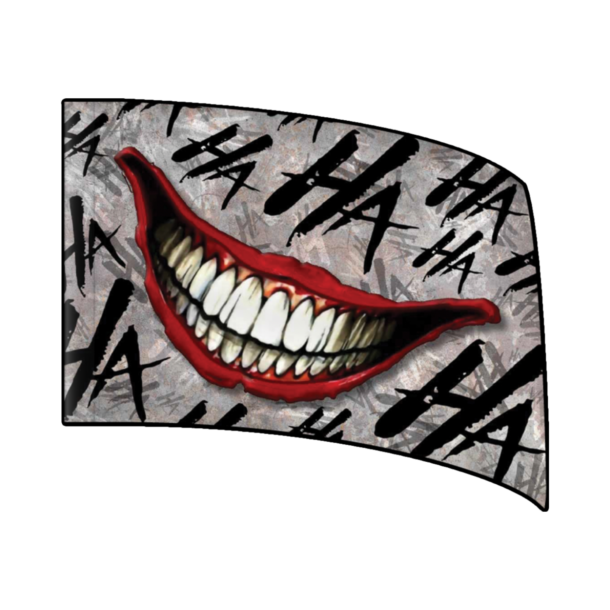 Why So Serious? - Standard Flag 2