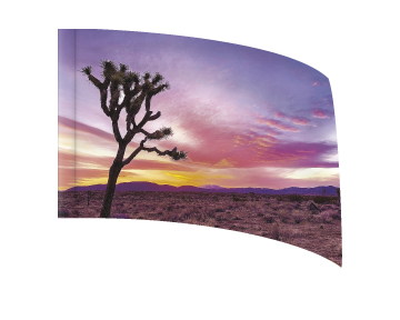 Tree Sunset - STANDARD FLAG