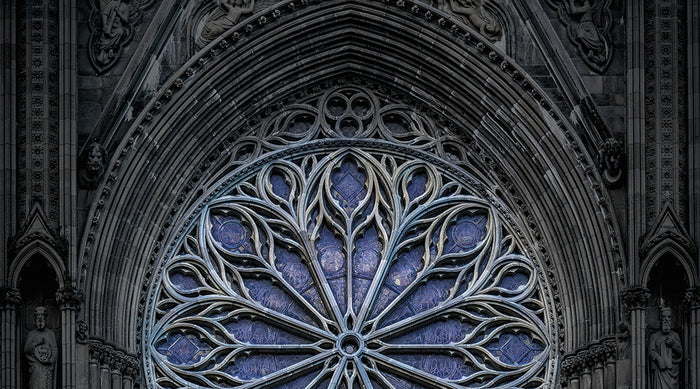 Cathedral - PERFORMANCE FLOOR