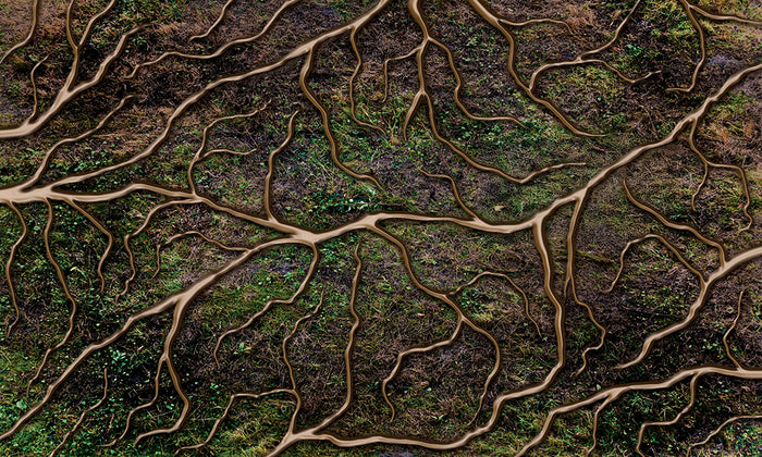 Rooted Maze - PERFORMANCE FLOOR