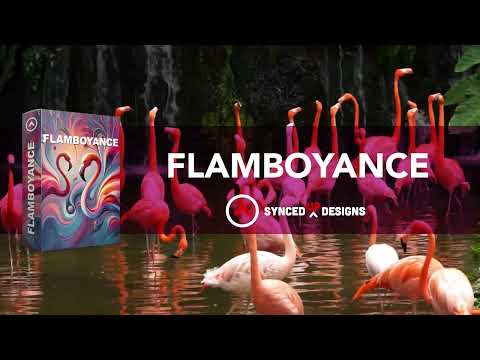 FLAMBOYANCE - INDOOR WINDS SHOW