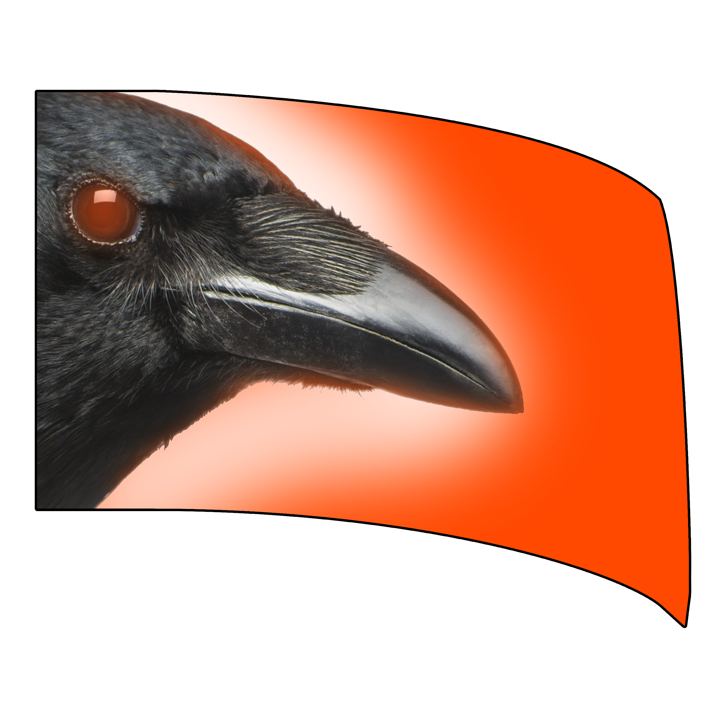 The Last Straw - Standard Flag 2