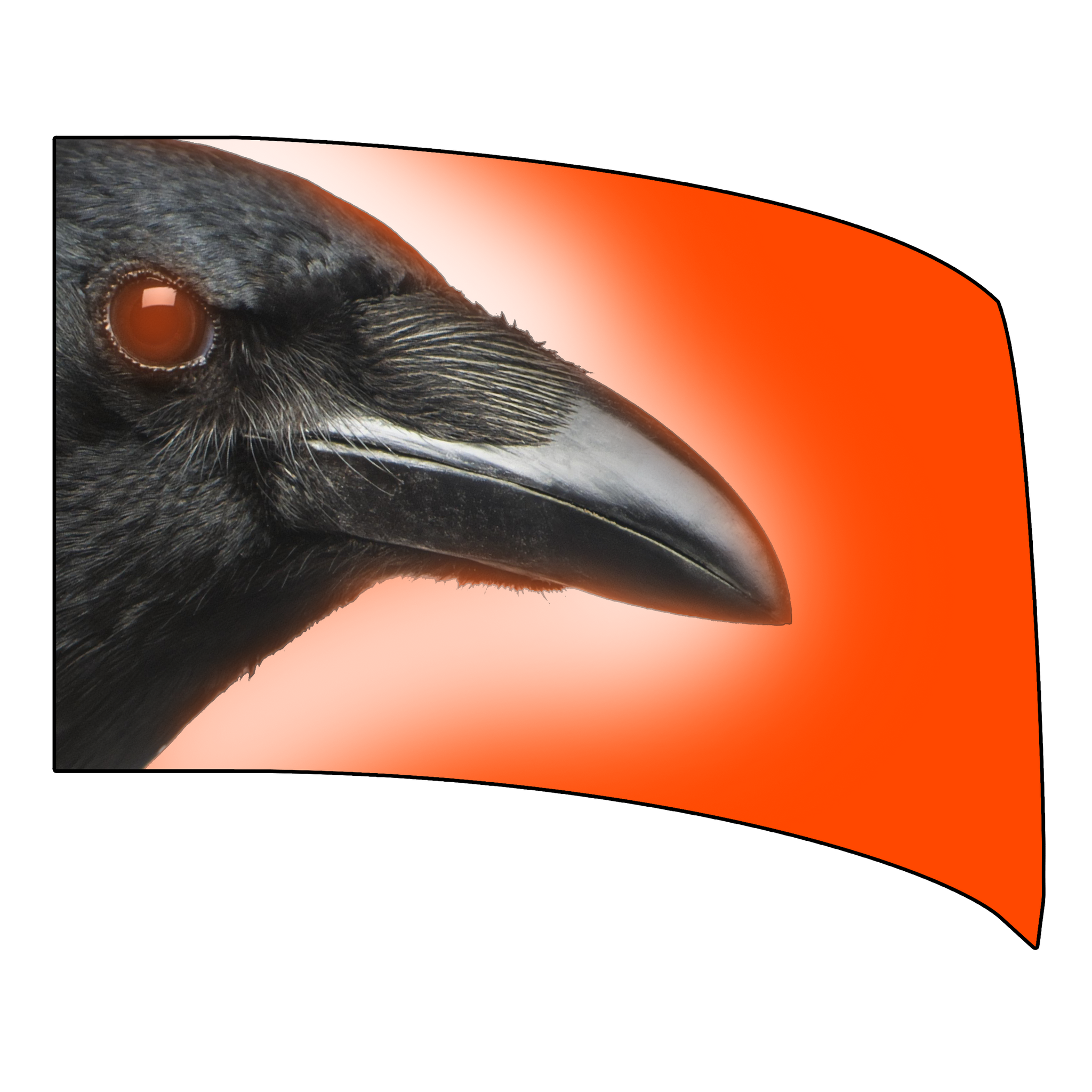 The Last Straw - Standard Flag 2