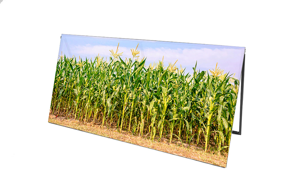 The Last Straw - Prop Graphic