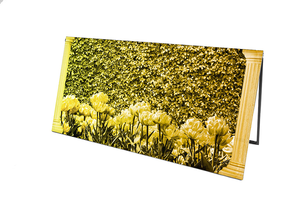 Midas - Prop Graphic