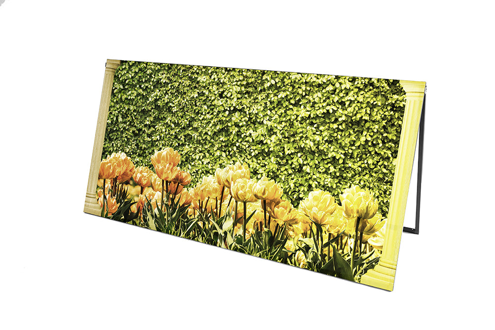 Midas - Prop Graphic