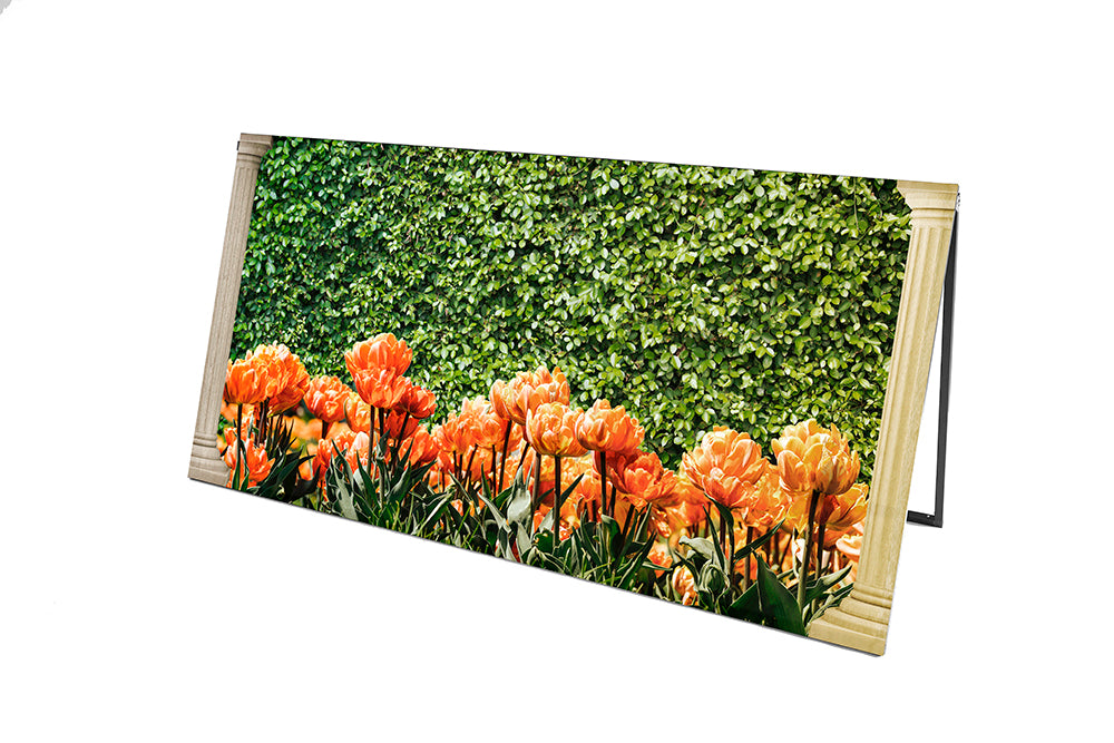 Midas - Prop Graphic