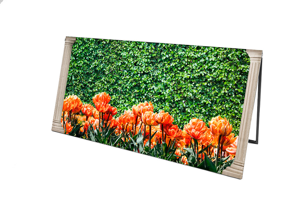 Midas - Prop Graphic