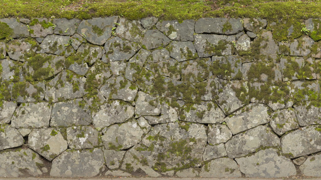 mossy rock texture seamless